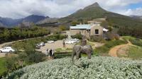Weingut Tokara