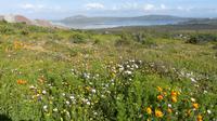 Westcoast Nationalpark