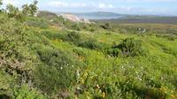 Westcoast Nationalpark