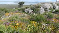 Westcoast Nationalpark