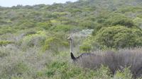 Westcoast Nationalpark