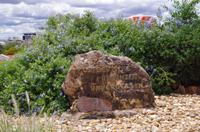 Windhoek