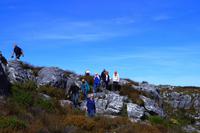 auf dem Tafelberg