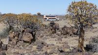 auf der Farm Spitzkoppe 
