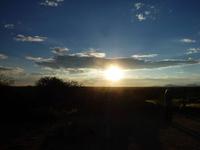 ein Blick zur Sonne