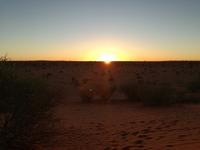 im Intu Afrika Kalahari Reservat - Sundowner