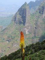im Simien-NP