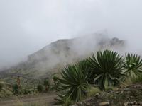 in den Wolken im Simien - NP