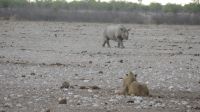 zwei der Big Five