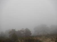 Plötzlich kam der Nebel