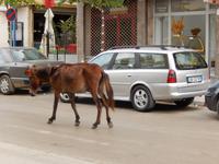 Unterschiedliche Fortbewegungsmittel