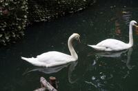 tierische Eindrücke