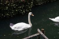 tierische Eindrücke