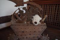 Gjirokastra - Ethnographisches Museum