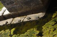 tierische Eindrücke