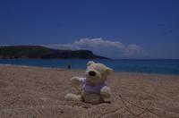 der Eberhardt-Reisebär am Ionischen Meer