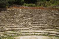 Apollonia - Such das Bärchen!