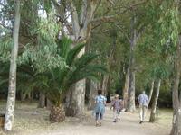 Butrint: Archäologischer Park