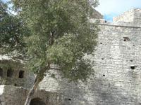 Festung Porto Palermo