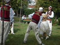 Tirana: Folklore