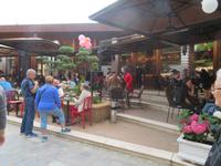 Schlossgelände von Tirana