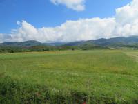auf dem Weg nach Gjirokastra