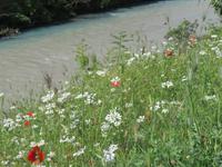 auf dem Weg nach Gjirokastra