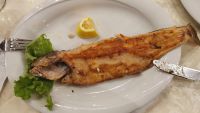 Die Forelle schmeckt ausgezeichnet