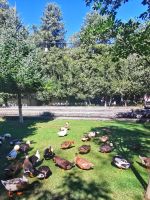 Bei unserer Mittagspause sind wir umzingelt von Enten und Gänsen