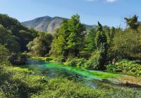 Umgebung an der Blue Eye Quelle