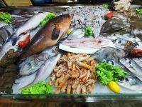 Fischtheke im Restaurant in Tirana