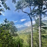 Llogora National Park.JPG