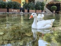 Fotostop auf dem Weg nach Gjirokastra