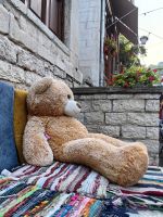 Auch ein Teddy reist gern um die Welt