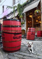 Warten auf Leckerlis