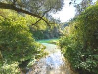 Landschaft am Blue Eye