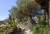 Lauschiges Café in Apollonia