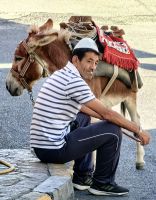 Albaner mit seinem Esel