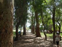 Butrint: Rundgang: Archäologischer Park