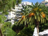 Saranda: Rundgang: Promenade