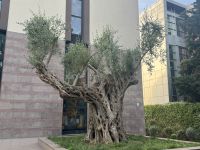 Mutter Theresa Kirche (4)