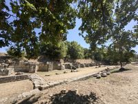 Apollonia