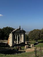 Appolonia (8)