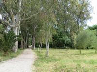 Butrint