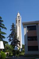 Tirana