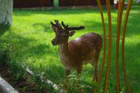 tierische Eindrücke