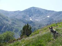 081. Vall d'Incles