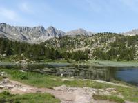 118. Grau Roig- els pessons