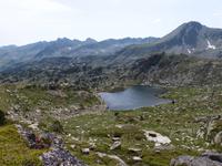 143. Grau Roig- els pessons