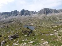 144. Grau Roig- els pessons